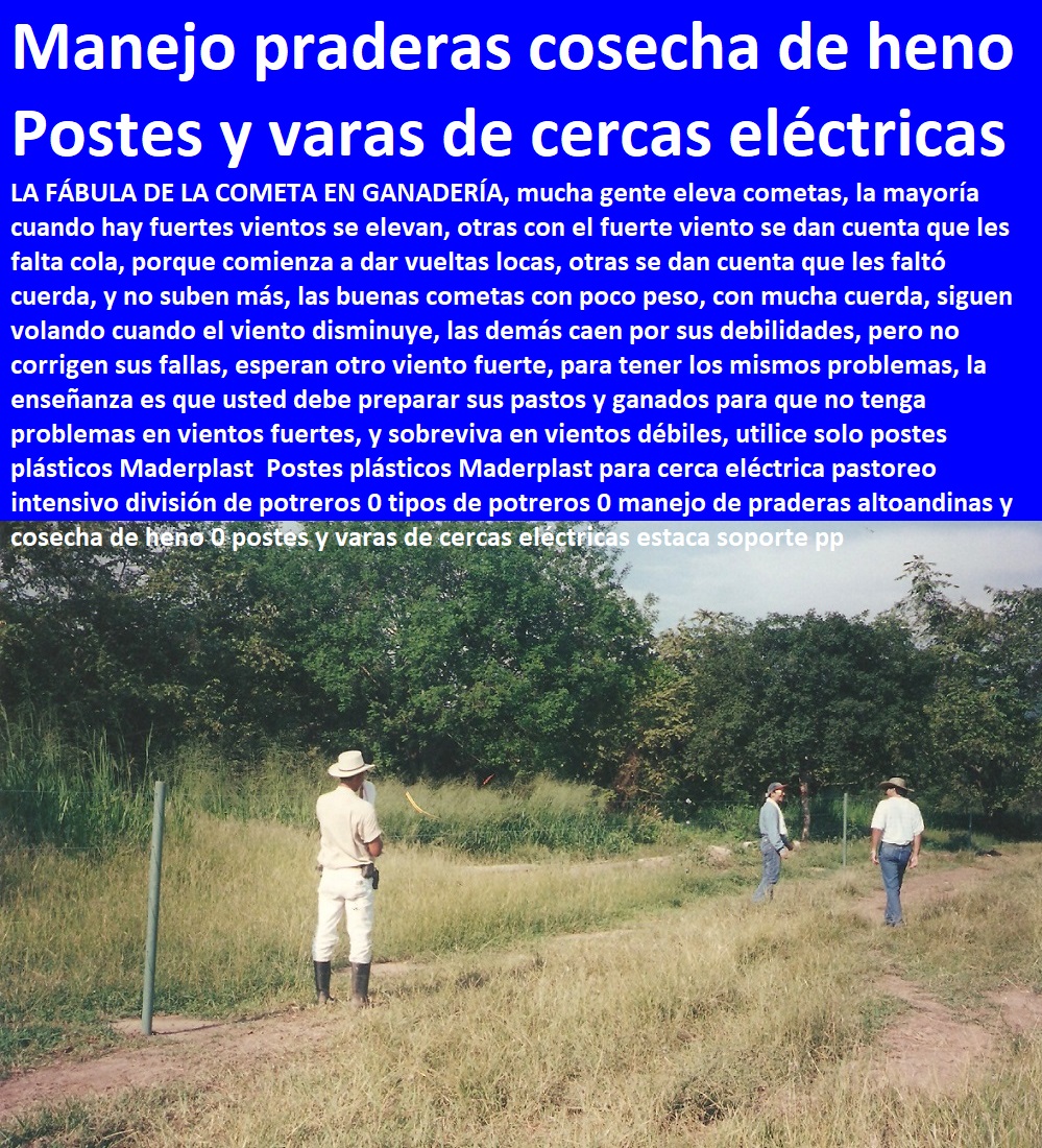 Postes plásticos Maderplast para cerca eléctrica pastoreo intensivo división de potreros 0 tipos de potreros 0 manejo de praderas altoandinas y cosecha de heno 0 postes y varas de cercas eléctricas estaca soporte pp Postes plásticos Maderplast para cerca eléctrica pastoreo intensivo división de potreros 0 tipos de potreros 0 manejo de praderas altoandinas y cosecha de heno 0 postes y varas de cercas eléctricas estaca soporte pp Postes plásticos Maderplast para cerca eléctrica pastoreo intensivo división de potreros 0 tipos de potreros 0 manejo de praderas altoandinas y cosecha de heno 0 postes y varas de cercas eléctricas estaca soporte pp